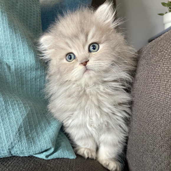 Meet Alicia ๐ธ - Picture 8 of 11